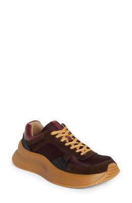Dries Van Noten Platform Sneaker in Qu608 Bordeaux359