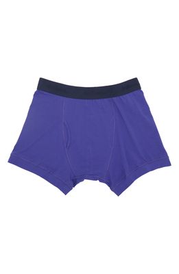 Druthers Everyday Organic Cotton Blend Boxer Briefs in Royal Blue