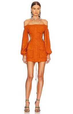 DUNDAS x REVOLVE Lily Mini Dress in Brown