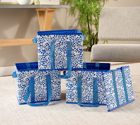 Durasack Set of 4 Small 13" Collapsible Storage Totes