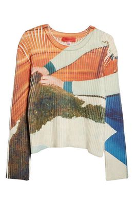 Eckhaus Latta Matthew Underwood Print Rib Sweater