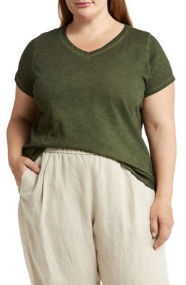 Eileen Fisher Boxy V-Neck Organic Cotton T-Shirt in Seaweed