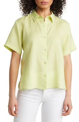 Eileen Fisher Classic Collar Linen Button-Up Shirt in Honeydew