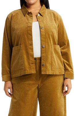 Eileen Fisher Classic Collar Organic Cotton Corduroy Jacket in Butternut