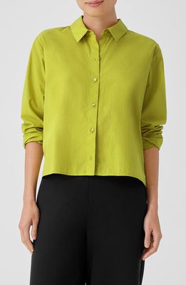 Eileen Fisher Classic Point Collar Organic Cotton Poplin Button-Up Shirt in Citron