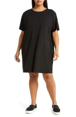 Eileen Fisher Dolman Sleeve Organic Pima Cotton Blend T-Shirt Dress in Black
