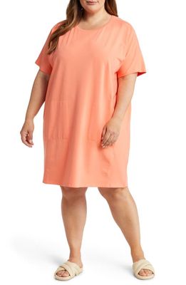 Eileen Fisher Dolman Sleeve Organic Pima Cotton Blend T-Shirt Dress in Guava