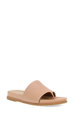 Eileen Fisher Duet Slide Sandal in Latte
