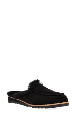 Eileen Fisher Frost Genuine Shearling Lined Clog in Black