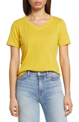 Eileen Fisher Organic Cotton V-Neck T-Shirt in Lemon Drop