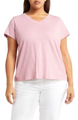Eileen Fisher V-Neck Organic Cotton T-Shirt in Magnolia