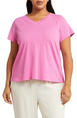 Eileen Fisher V-Neck Organic Cotton T-Shirt in Tulip