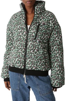 Electric & Rose Electric Leopard Puffer Jacket in Green/Multi