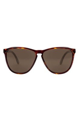 Electric Encelia 62mm Polarized Oversize Sunglasses in Gloss Tort/Bronze Polar