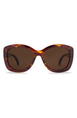 Electric Gaviota Polarized Square Sunglasses in Gloss Tort/Bronze Polar 