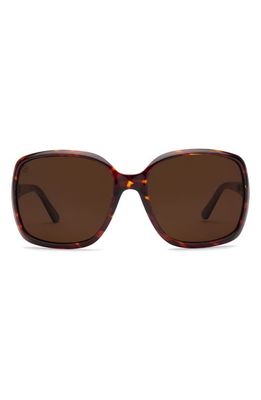 Electric Marin 56mm Polarized Oversize Square Sunglasses in Gloss Tort/Bronze Polar 