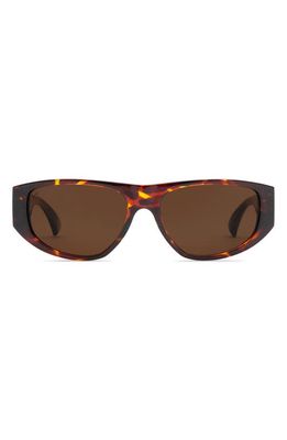 Electric Stanton 45mm Polarized Cat Eye Sunglasses in Gloss Tort/Bronze Polar 