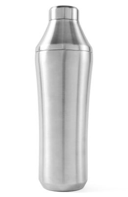 Elevated Craft Hybrid Cocktail Shaker in Stainless Steel