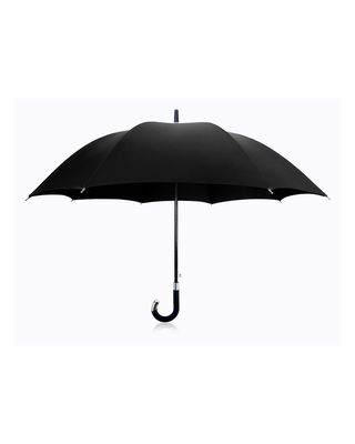 Elite Cane Umbrella