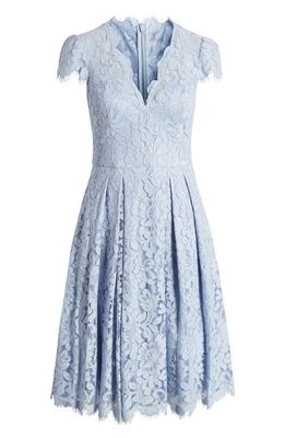 Eliza J Lace Fit & Flare Cocktail Dress in Periwinkle