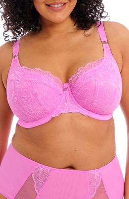Elomi Brianna Underwire Padded Half Cup Bra in Very Pink