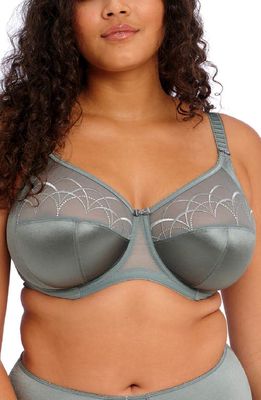 Elomi 'Cate' Underwire Bra in Willow