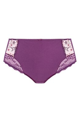 Elomi Charley Full Figure Briefs in Pansy
