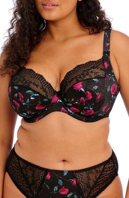 Elomi Lucie Full Figure Underwire Plunge Bra in Rock And Rose