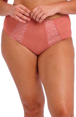 Elomi Matilda Full Figure Briefs in Rose Leo 