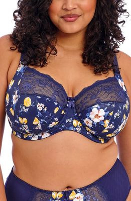 Elomi Morgan Full Figure Underwire Bra in Sicilia Sia 