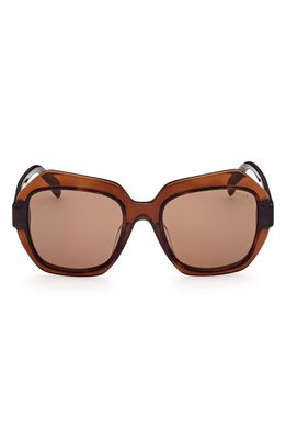 Emilio Pucci 53mm Rectangular Sunglasses in Havana/Other /Brown