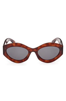 Emilio Pucci 54mm Geometric Sunglasses in Dark Havana /Smoke