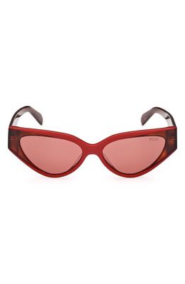 Emilio Pucci 55mm Cat Eye Sunglasses in Red/Other /Bordeaux