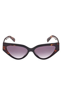 Emilio Pucci 55mm Gradient Cat Eye Sunglasses in Black/Other /Gradient Smoke