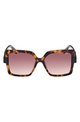Emilio Pucci 55mm Square Sunglasses in Dark Havana /Gradient Brown