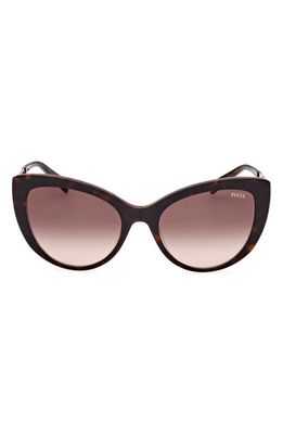 Emilio Pucci 56mm Cat Eye Sunglasses in Dark Havana /Gradient Brown