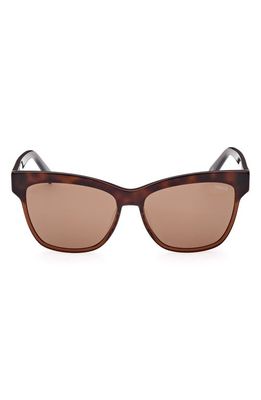 Emilio Pucci 57mm Square Sunglasses in Havana/Other /Brown