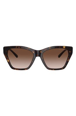 Emporio Armani 55mm Gradient Cat Eye Sunglasses in Shiny Hava