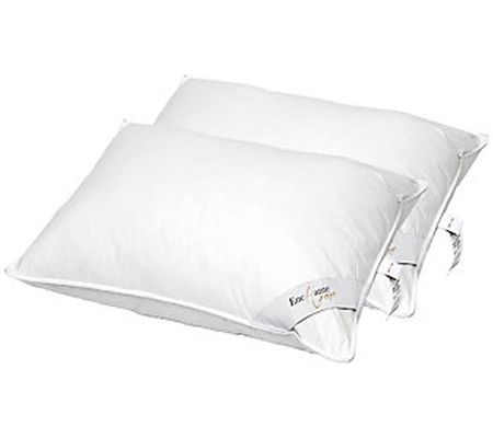 Enchante Home Goose Down Firm King Pillows - Se t of 2