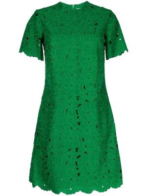Erdem floral cut-out minidress - Green