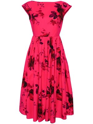 Erdem floral-print cotton midi dress - Pink