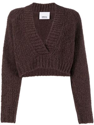 Erika Cavallini cropped knitted top - Brown