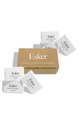 ESKER Shower Steamer Tablet Refills in Lavender Eucalyptus