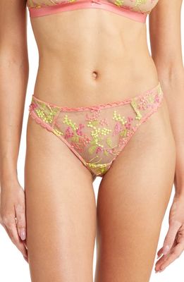 Etam Mimosa Embroidered Thong in Blush