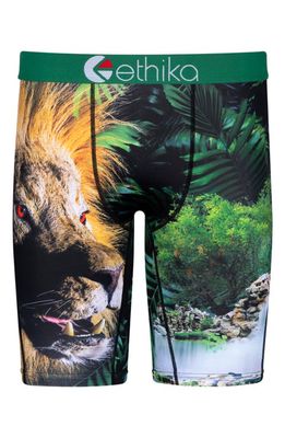 Ethika Kids' King Chillin' Boxer Briefs in Green 