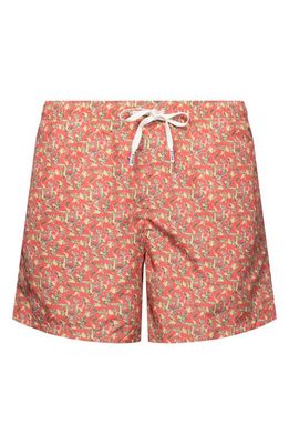 Eton Banana Print Swim Trunks in Pink/Red 