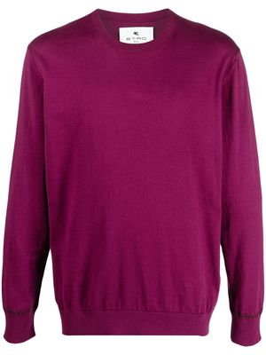 ETRO fine knit cotton jumper - Purple