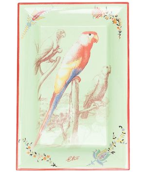 ETRO HOME parrot-print rectangular plate - Green
