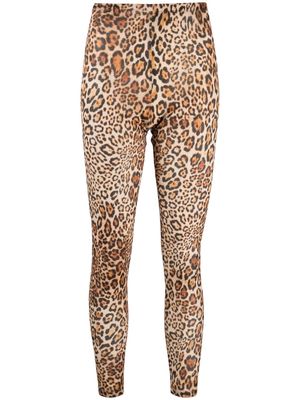 ETRO leopard-print fine-ribbed leggings - Neutrals