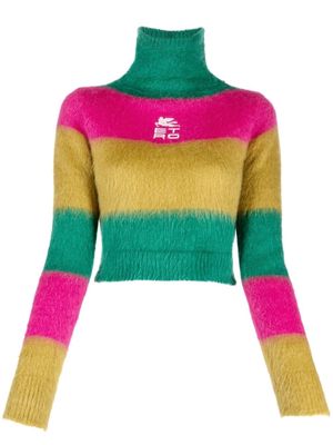 ETRO logo-embroidered stripe-knit jumper - Pink